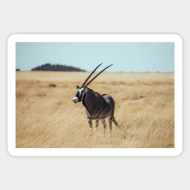 Kalahari Desert Gemsbok Sticker by withluke